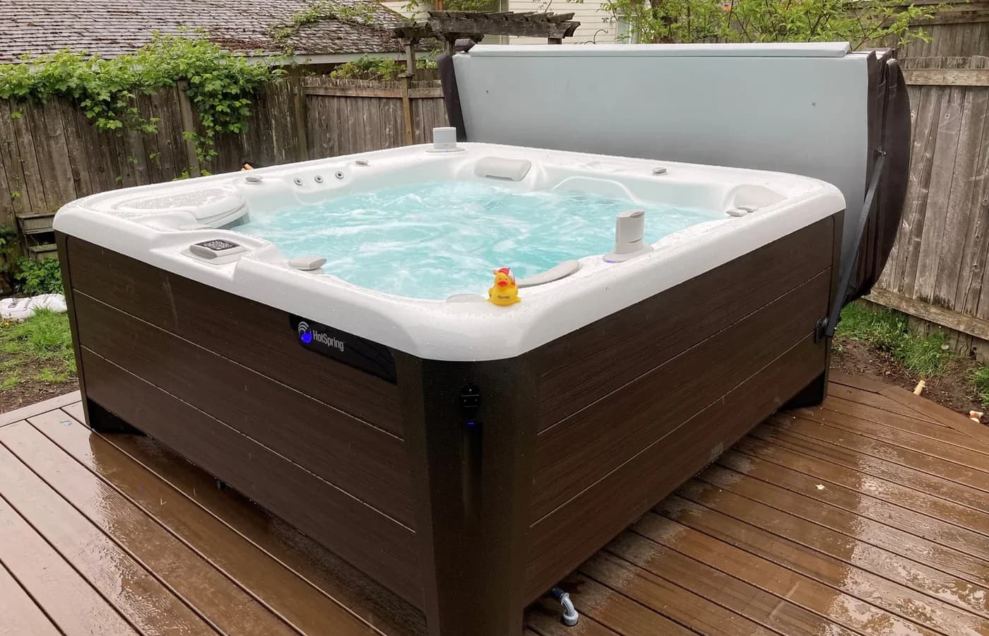 Hot Spring hot tub detail 2